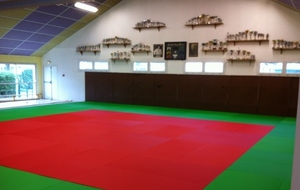 59b6698a0a50f_dojo.jpg