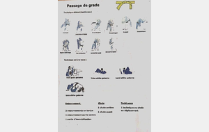 5ca3592375421_Jaune1.jpg