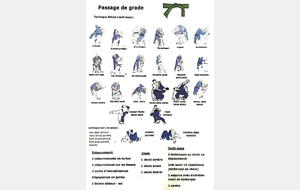 5ca35926c86a6_Vert1.jpg