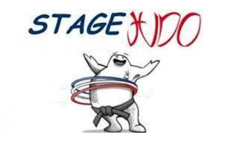 Stage Judo Vacances de la Toussaint